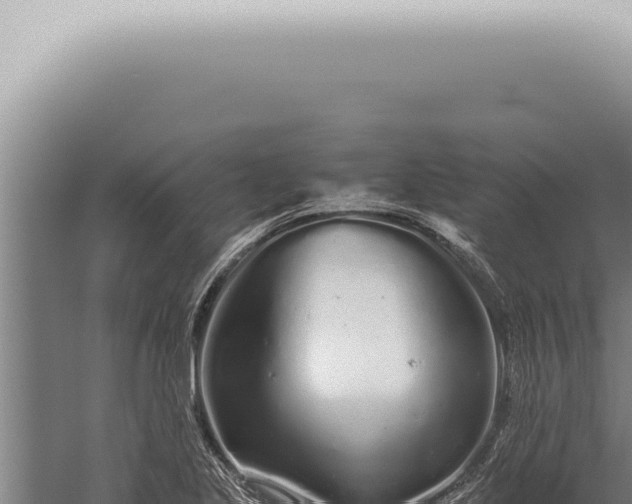 X0000059831221200510281749