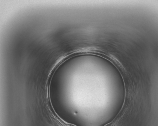 X0000059831224200510281749