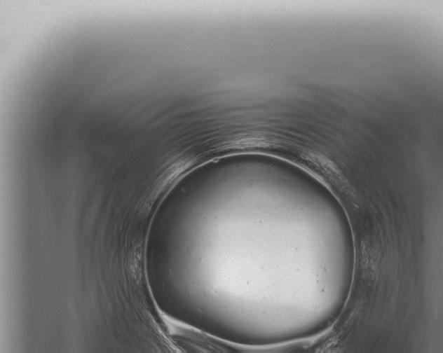 X0000059831225200510281749