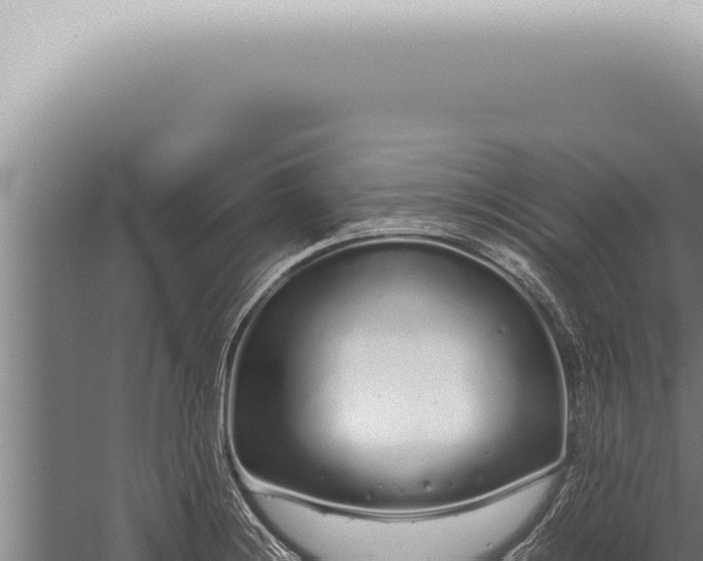 X0000059831228200510281749