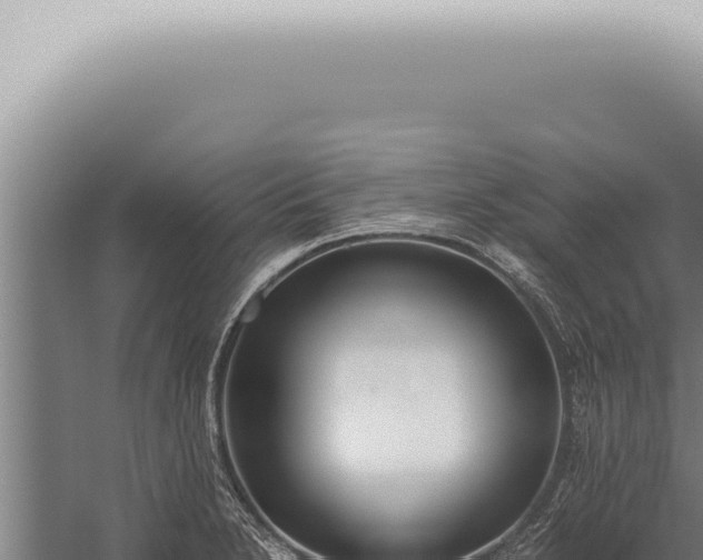 X0000059831230200510281749