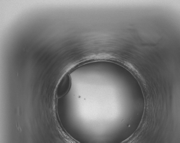 X0000059831232200510281749