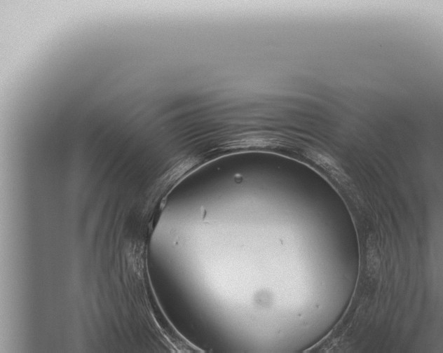 X0000059831233200510281749