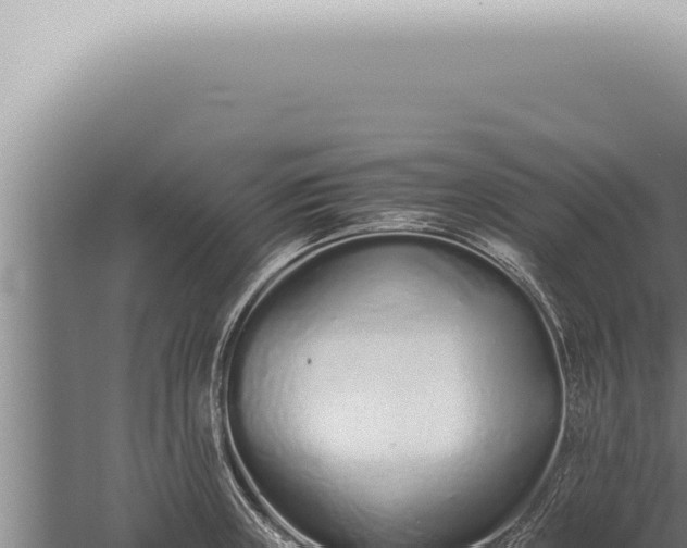 X0000059831235200510281749