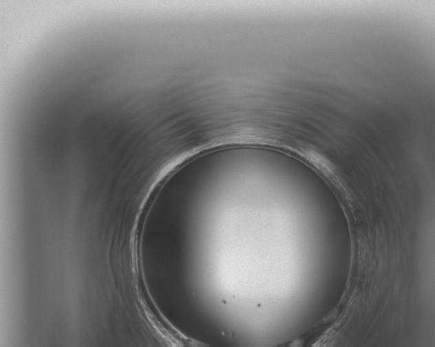 X0000059831238200510281749