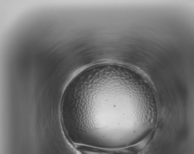 X0000059831239200510281749