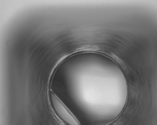 X0000059831240200510281749