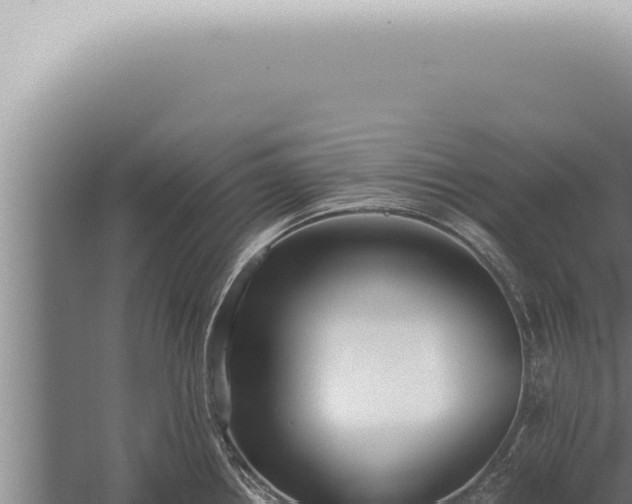 X0000059831242200510281749