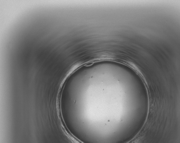 X0000059831243200510281749