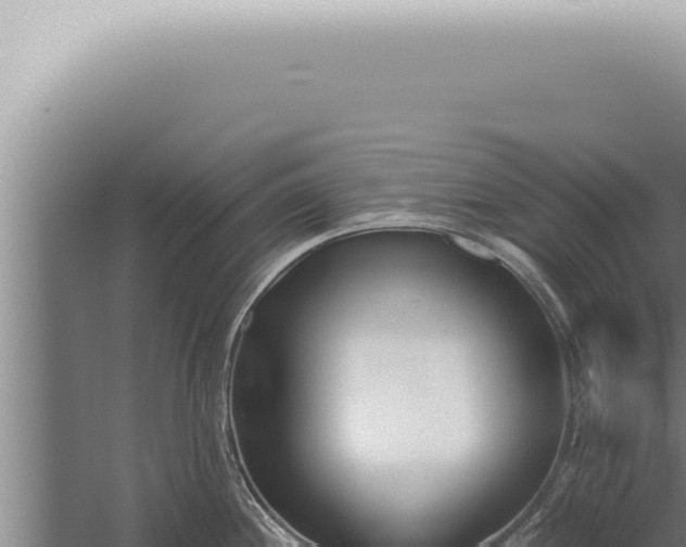 X0000059831244200510281749