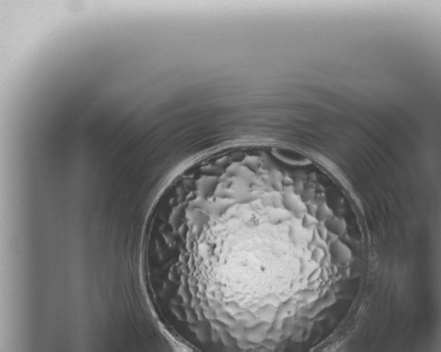 X0000059831245200510281749