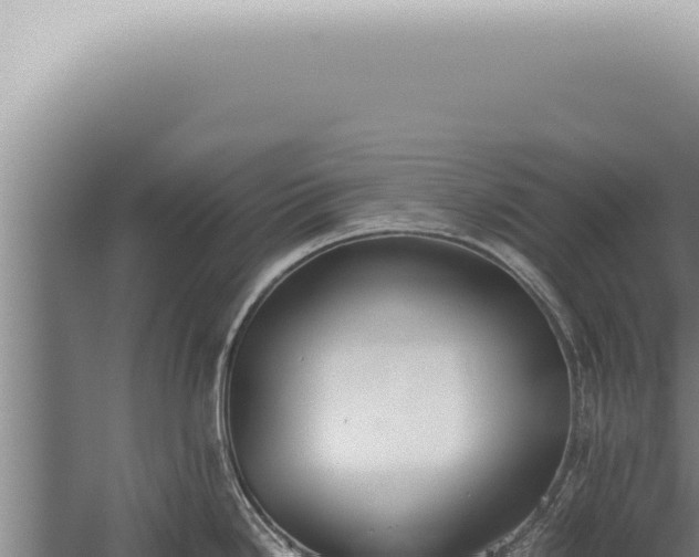 X0000059831246200510281749