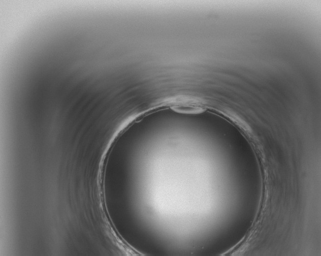 X0000059831248200510281749