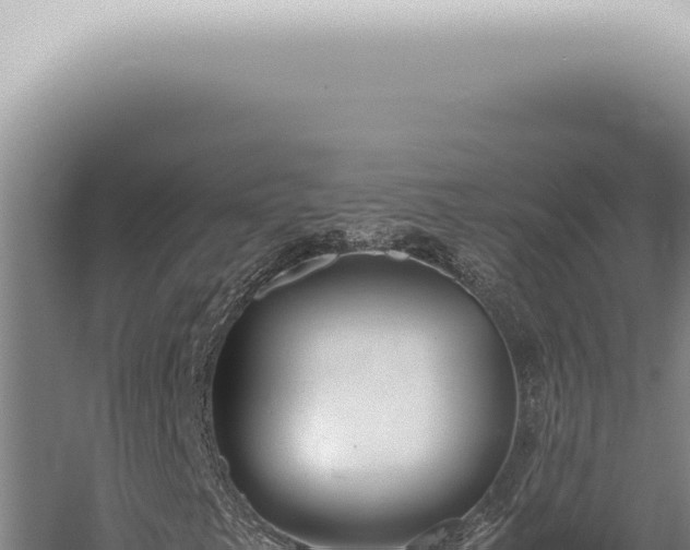 X0000059831249200510281748