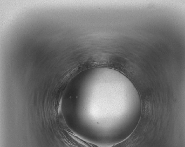 X0000059831250200510281748