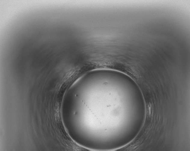 X0000059831251200510281748