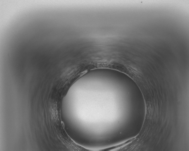 X0000059831252200510281748