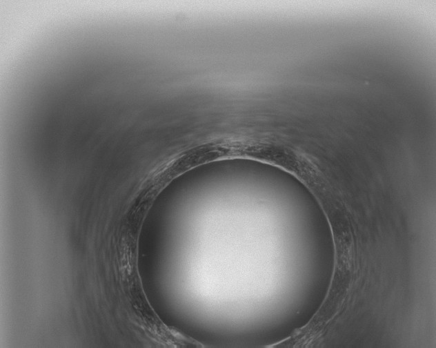 X0000059831253200510281748