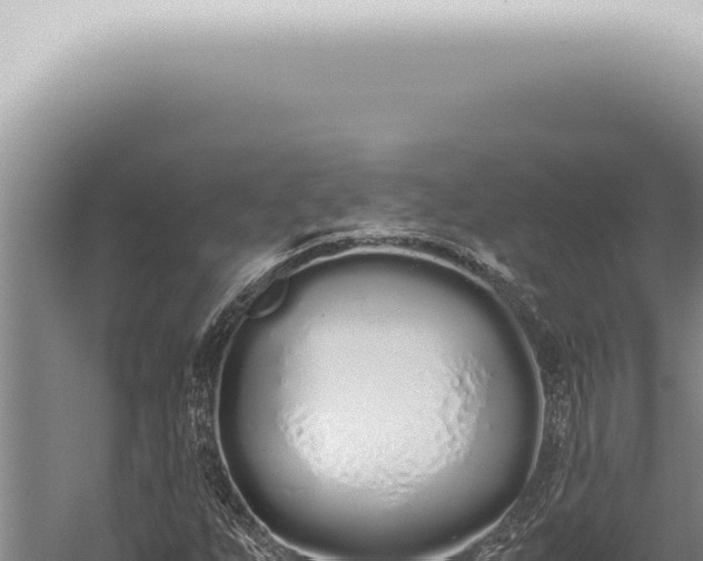 X0000059831255200510281748