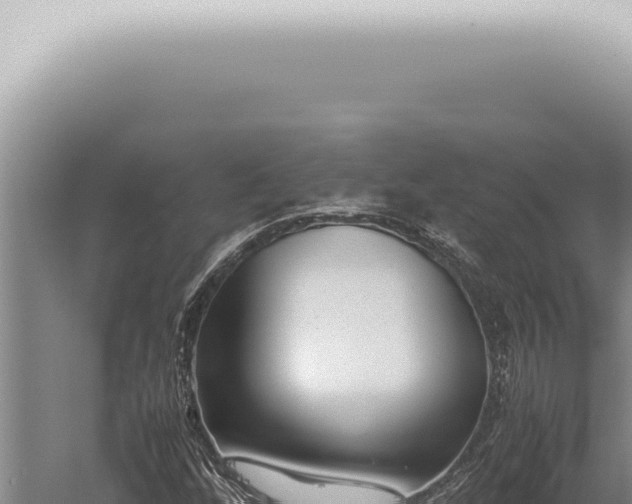 X0000059831256200510281748