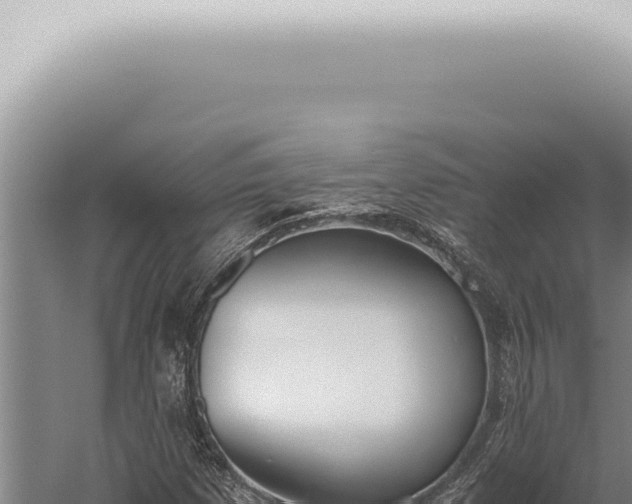 X0000059831257200510281748