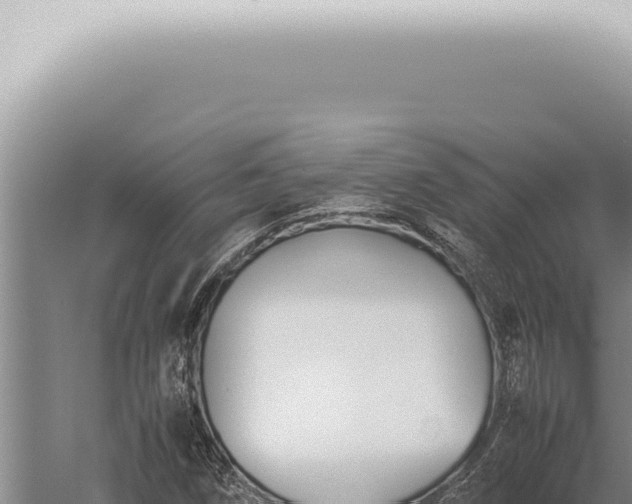 X0000059831258200510281748