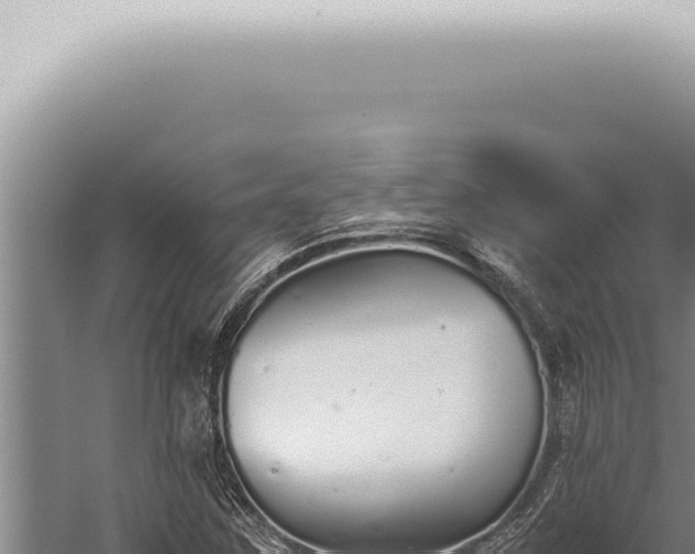 X0000059831259200510281748