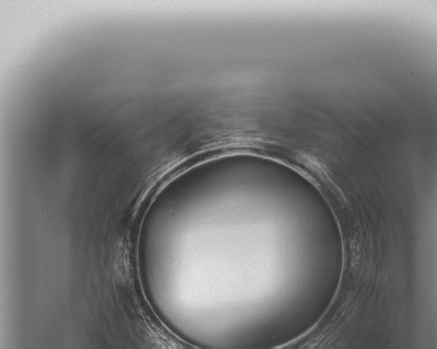 X0000059831260200510281748