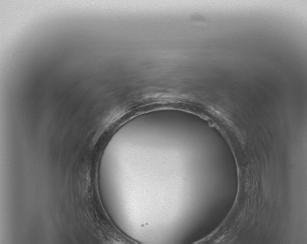 X0000059831261200510281748