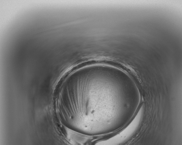 X0000059831263200510281748