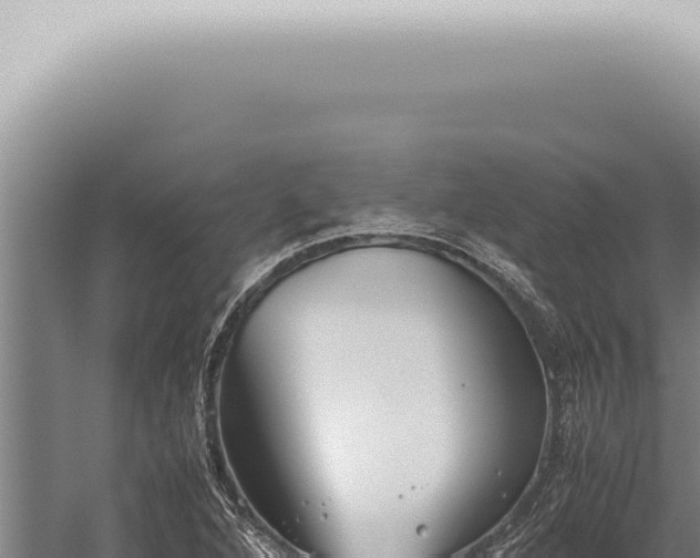 X0000059831264200510281748