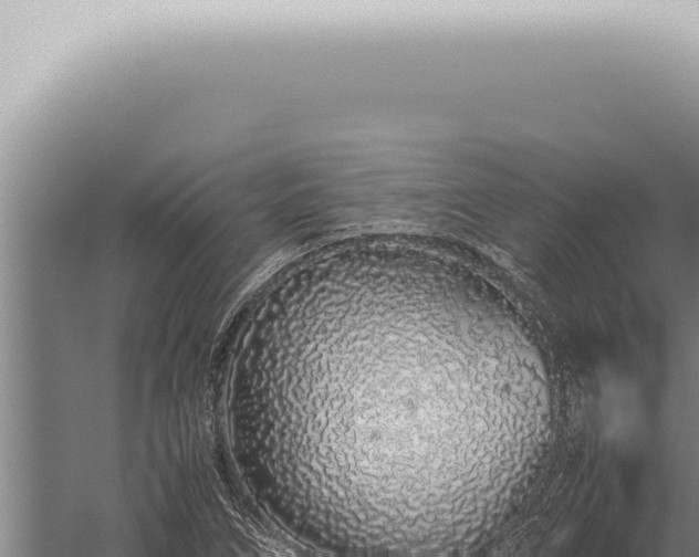 X0000059831266200510281748