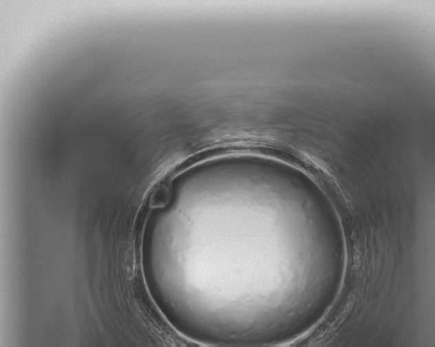 X0000059831267200510281748