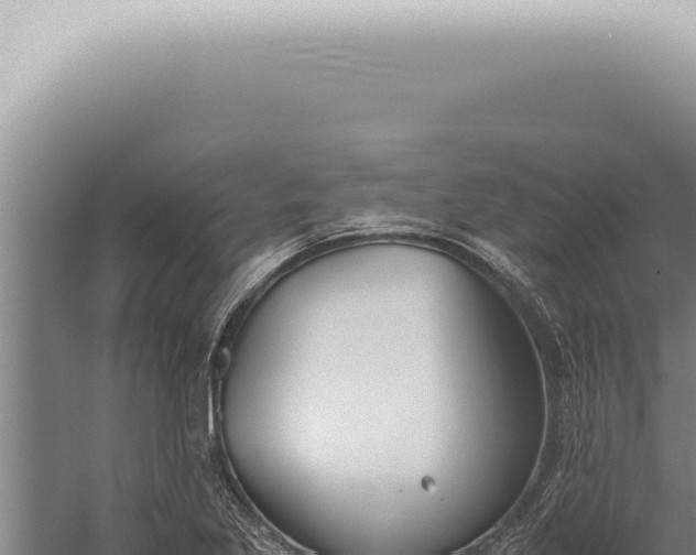 X0000059831269200510281748