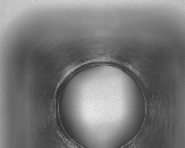 X0000059831270200510281748