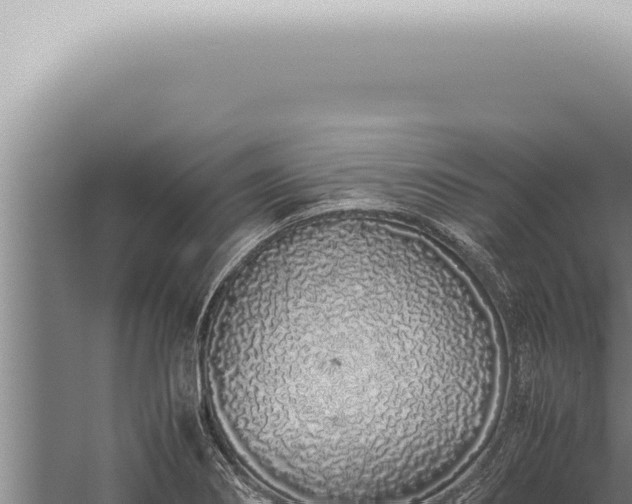 X0000059831274200510281748