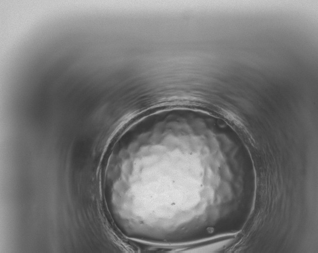 X0000059831275200510281748