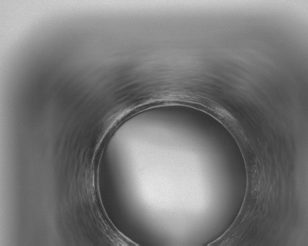 X0000059831280200510281748