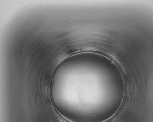 X0000059831281200510281748