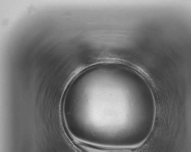 X0000059831283200510281748