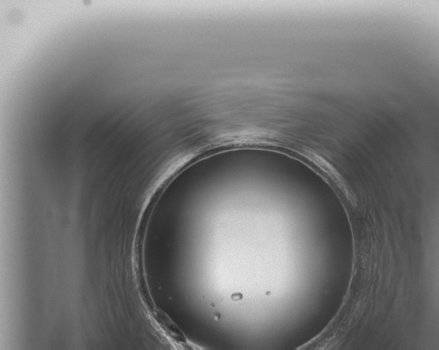 X0000059831285200510281748