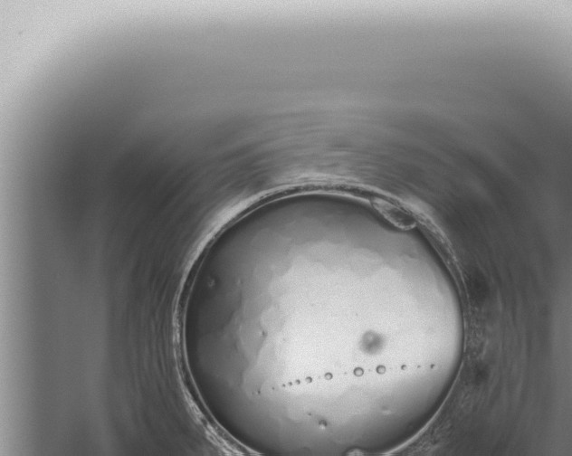 X0000059831287200510281748