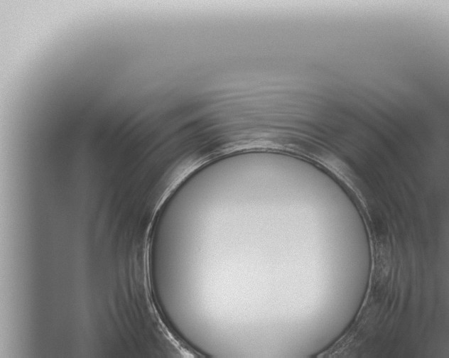 X0000059831290200510281748