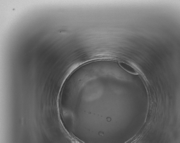 X0000059831291200510281748