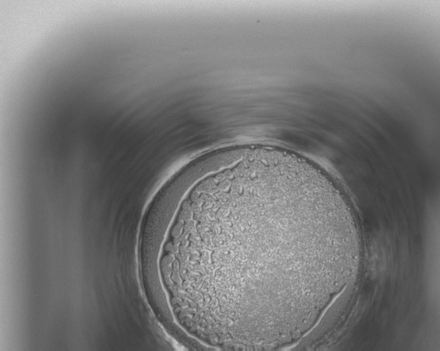 X0000059831294200510281748