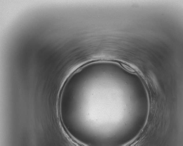 X0000059831295200510281748