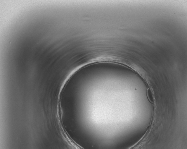 X0000059831296200510281748