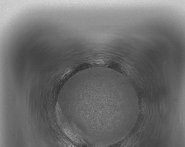 X0000059831297200510281747