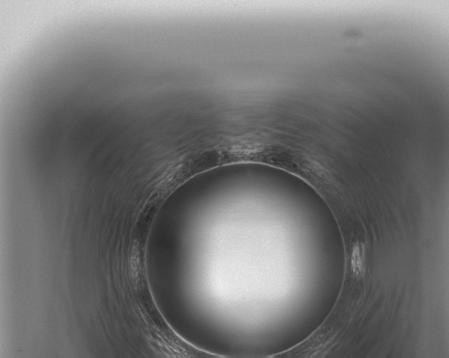 X0000059831299200510281747