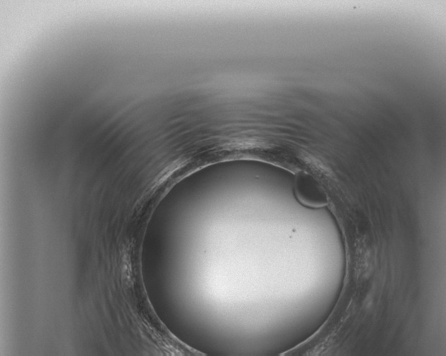 X0000059831305200510281747